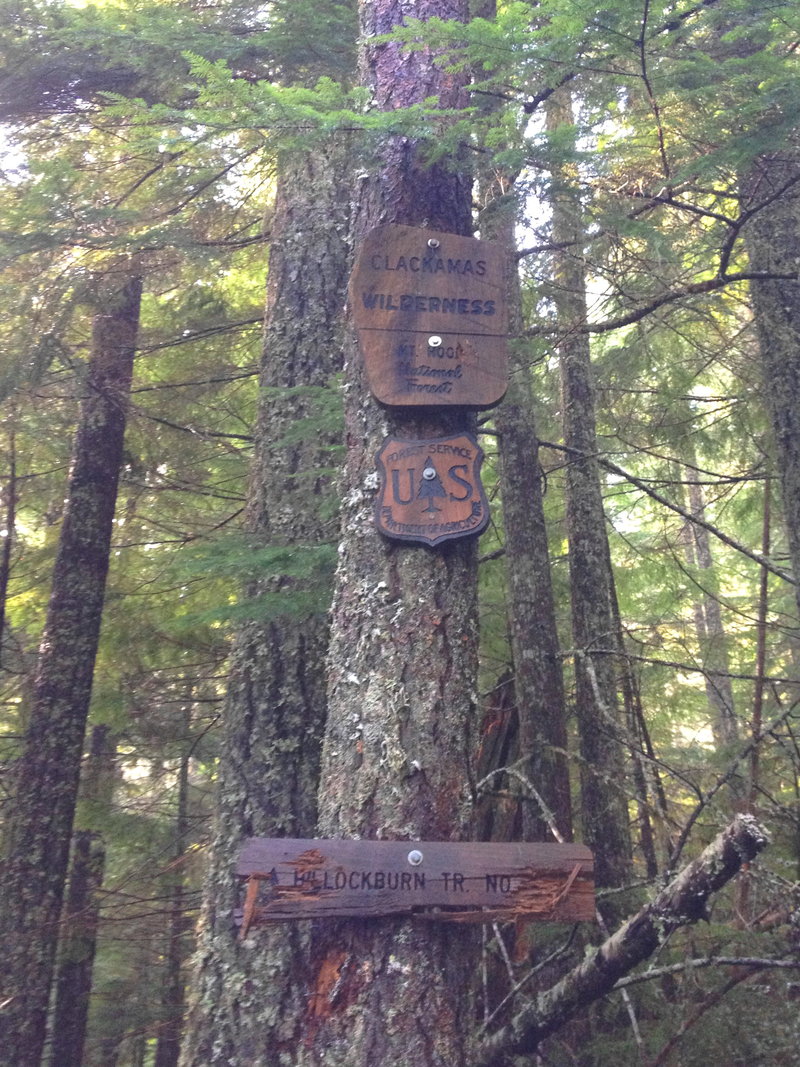 New Clackamas Wilderness sign